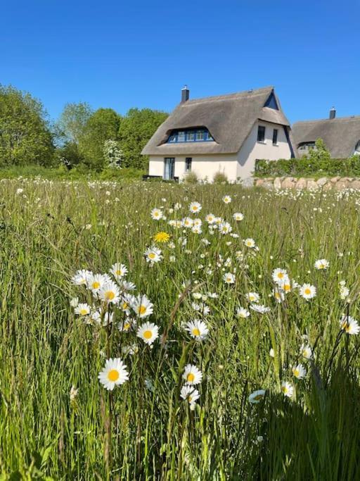 Stilvolles Reetdachhaus Coastline An Der Ostsee Groß Schwansee Екстериор снимка