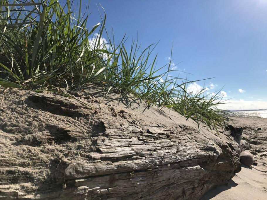 Stilvolles Reetdachhaus Coastline An Der Ostsee Groß Schwansee Екстериор снимка