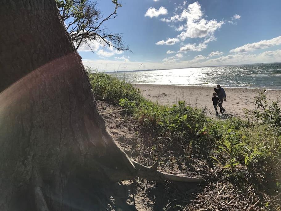 Stilvolles Reetdachhaus Coastline An Der Ostsee Groß Schwansee Екстериор снимка