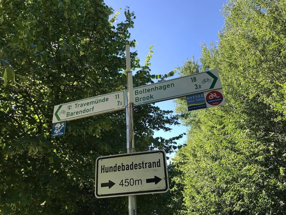 Stilvolles Reetdachhaus Coastline An Der Ostsee Groß Schwansee Екстериор снимка